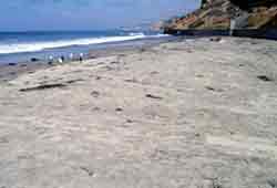 A beach in the summer - just north of Scripps pier.